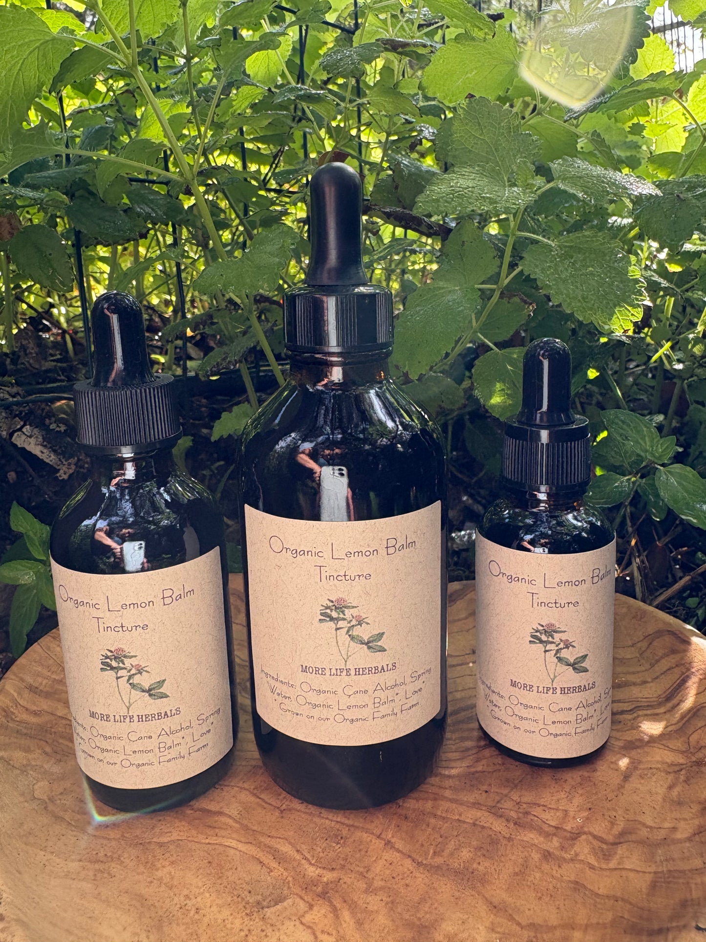 Organic Lemon Balm Tincture