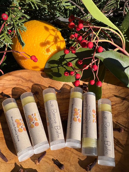 Organic Orange & Clove Lip Rescue Balm
