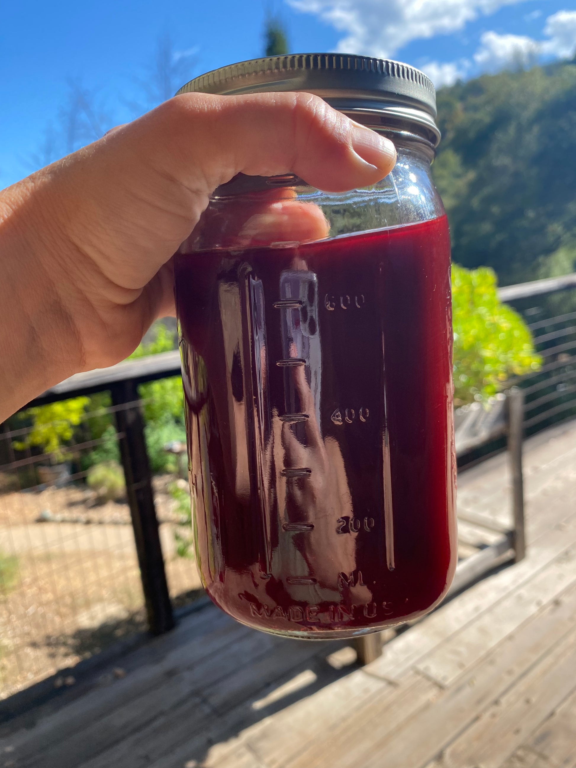 Hand holding a jar of red liquid with a scenic background