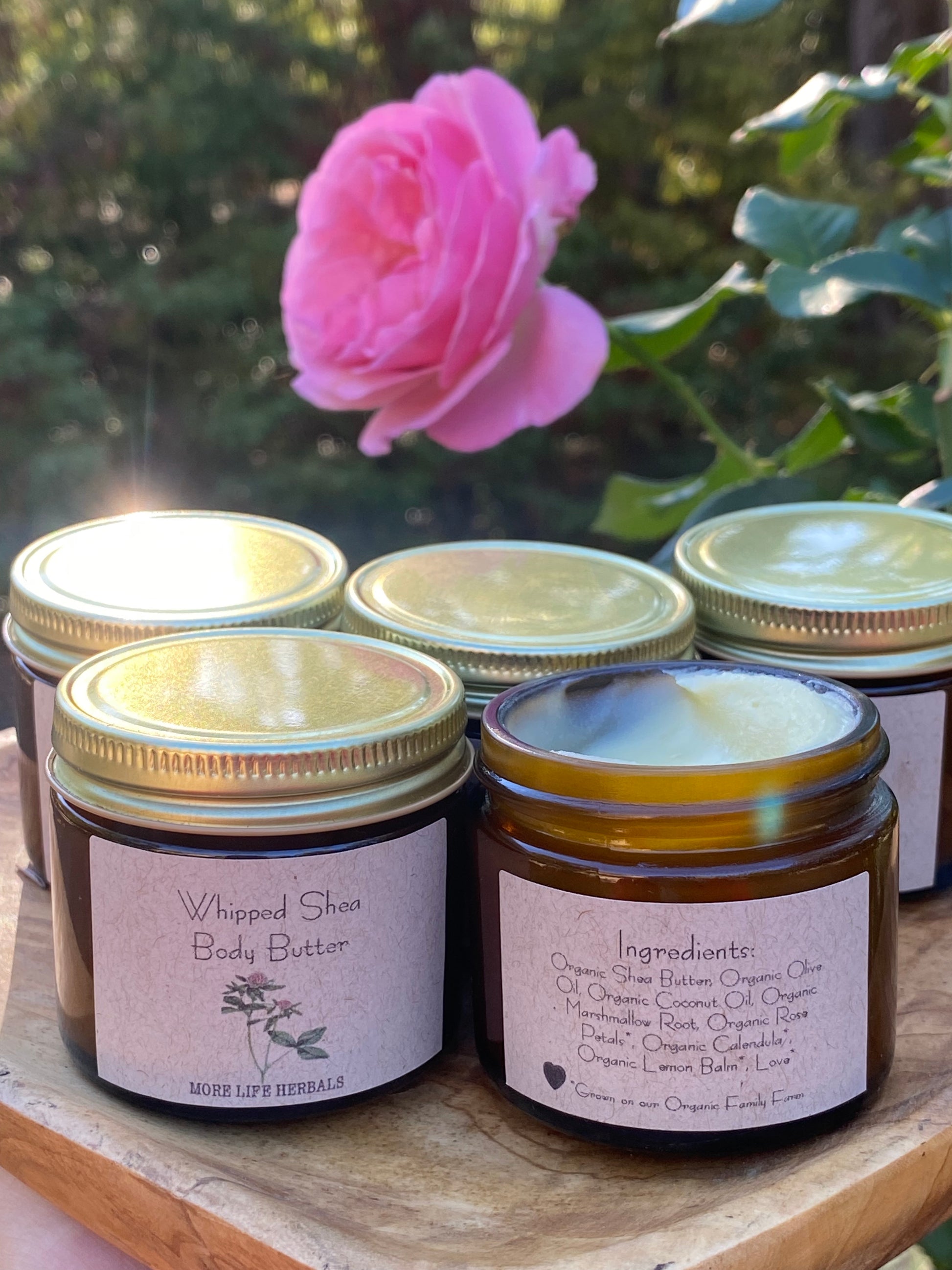 Jars of whipped shea body butter with a pink rose in the background