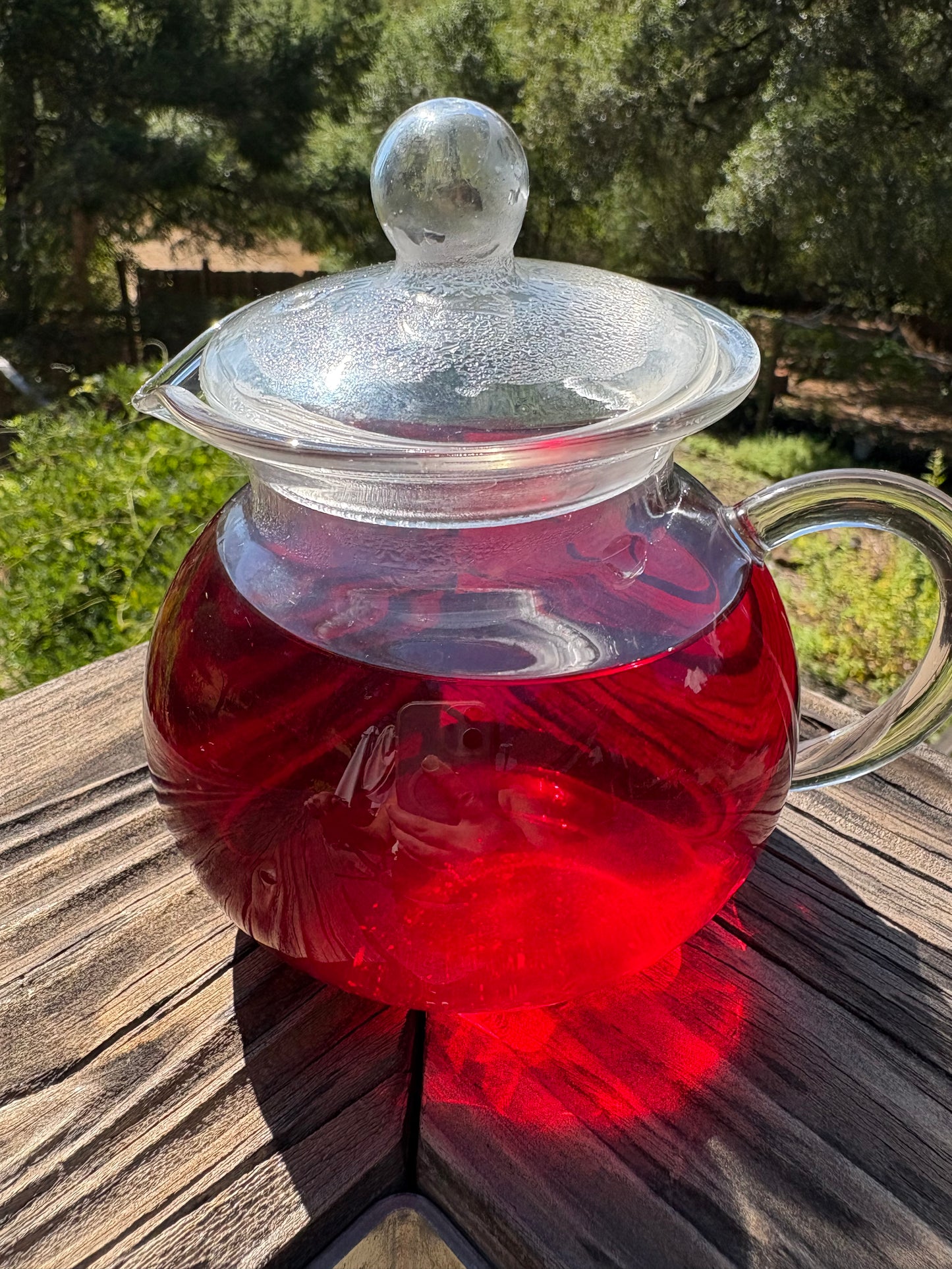 Clear glass teapot with red liquid on a wooden surface outdoors
